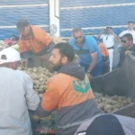 حملات رقابية لضبط الأسواق وإزالة المخالفات بالمحافظات