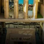 رصد شكاوى المواطنين: جهود النيابة الإدارية