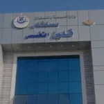 إنقاذ سيدة من تسمم حمل حاد في كفر الشيخ