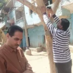 استمرار تركيب الأكواد التعريفية لمبادرة 100 مليون شجرة