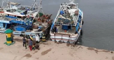 طقس حار وانتظام حركة الصيد في كفر الشيخ