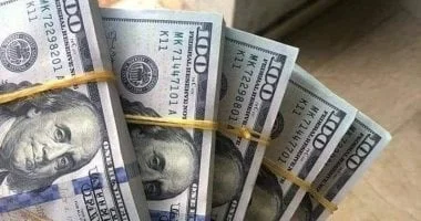 استقرار سعر الدولار مقابل الجنيه المصري اليوم