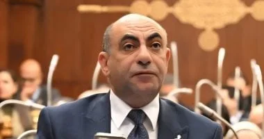 خطاب السيسي يعكس رؤية مصر الإقليمية ودعم فلسطين