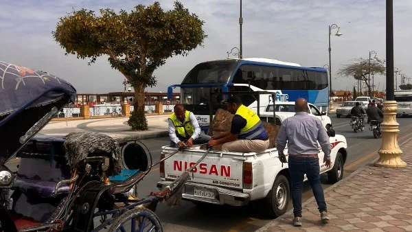 ضبط عربات حنطور مخالفة في الأقصر