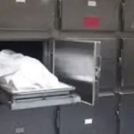 مأساة في دار السلام بسوهاج: أم تقتل على يد نجلها