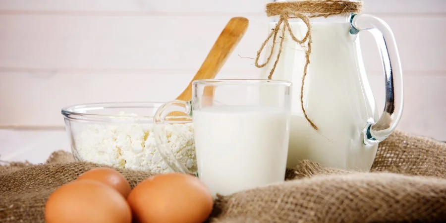 أسعار البيض والألبان في مصر اليوم