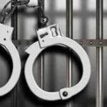 حبس نرمين طارق 6 أشهر بسبب فيديوهات خادشة