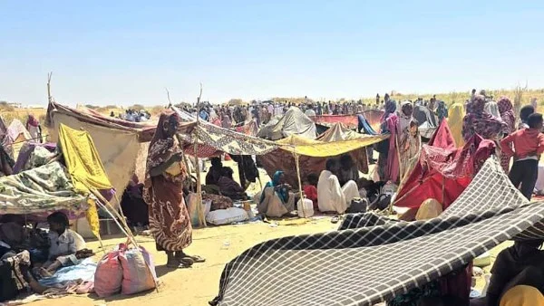 انتصارات الجيش السوداني في النيل الأزرق: أبعاد استراتيجية وأمنية
