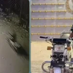 حادث دهس طفل في بني سويف بدراجة نارية