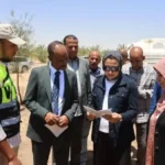 استثمار زراعي جديد على 800 فدان في الوادي الجديد