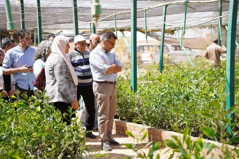 محافظ مطروح يشيد بمشروعات إيفاد وتأثيرها الإيجابي
