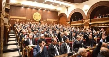 مجلس الشيوخ يناقش الرياضة والشباب بحضور وزير الشباب