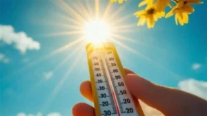 حالة الطقس في كفر الشيخ اليوم الأحد