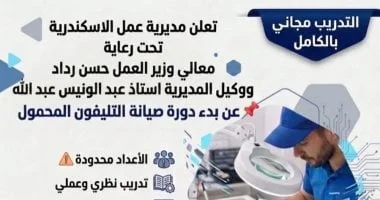 دورة تدريبية لصيانة التليفون المحمول بالإسكندرية