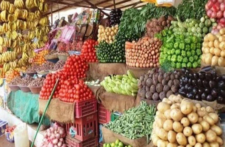 استقرار أسعار الخضراوات والفاكهة في الإسكندرية