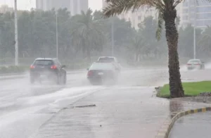 حالة الطقس في الإسكندرية: تقلبات وبارد مع أمطار خفيفة