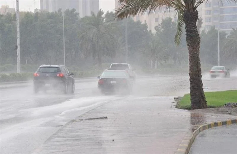 حالة الطقس في الإسكندرية: تقلبات وبارد مع أمطار خفيفة