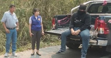 ملل يقود شاباً لإشعال حرائق غابة في تايلاند