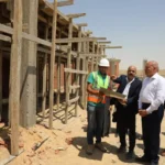 إنشاء مأوى جديد للكلاب الضالة في القاهرة