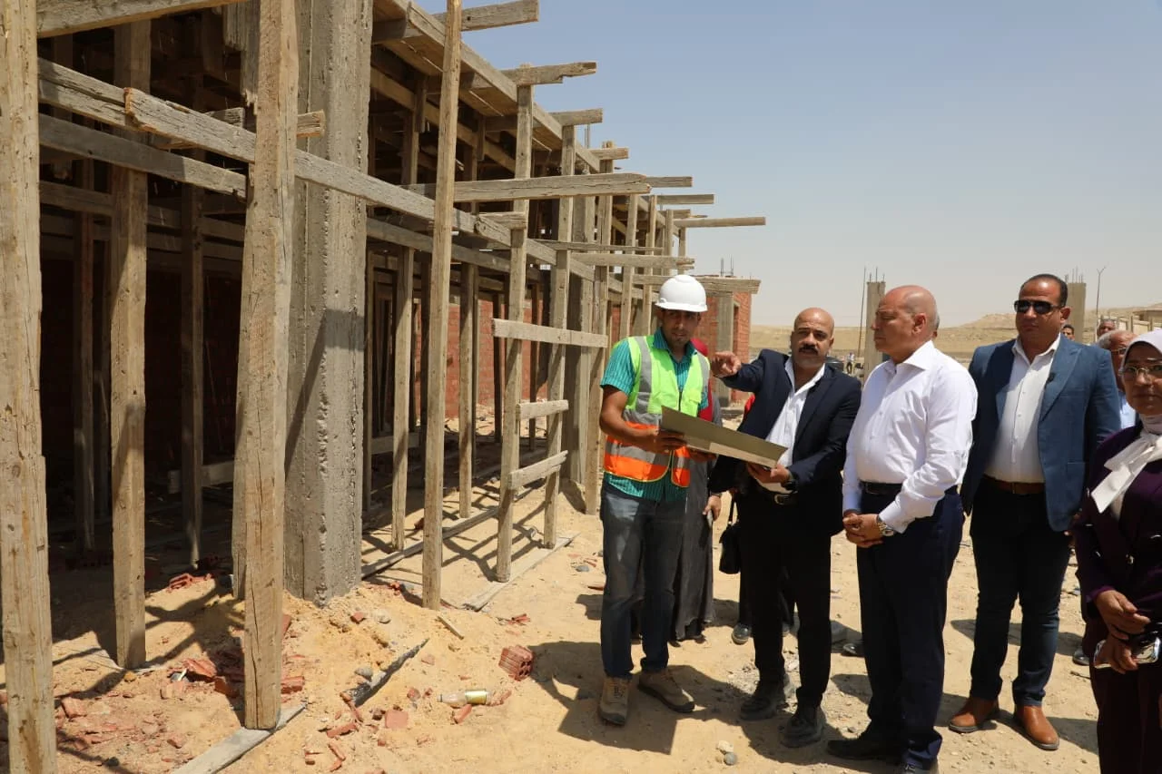 إنشاء مأوى جديد للكلاب الضالة في القاهرة