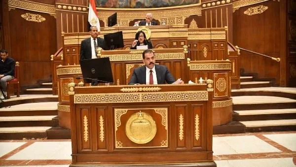 النائبة ميرال هريدي تطالب بوقف إعلانات المراهنات في الملاعب المصرية
