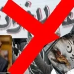 استخدام الإعلام الرقمي من قبل الإخوان لاستهداف الدولة المصرية