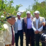 ورشة لتعزيز نظم الري الحديث وإنتاج الرمان بأسيوط