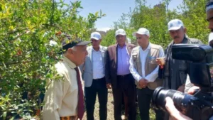 ورشة لتعزيز نظم الري الحديث وإنتاج الرمان بأسيوط