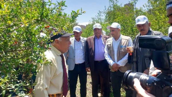 ورشة لتعزيز نظم الري الحديث وإنتاج الرمان بأسيوط