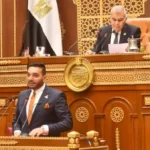 رعاية النشء والشباب في استراتيجية الجمهورية الجديدة