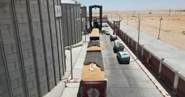 توريد 7360 طن قمح لشون وصوامع البحيرة