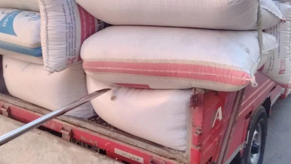 12.3 ألف طن قمح في الدقهلية لمواقع التخزين