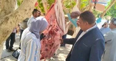 تحرير 61 محضراً في حملات تفتيش التموين بالوادي الجديد