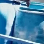 ضبط مصنع أجبان غير مرخص في بني سويف