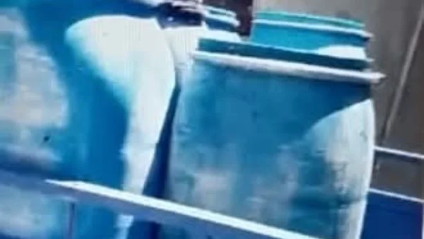 ضبط مصنع أجبان غير مرخص في بني سويف