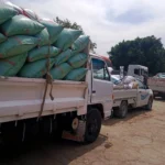 استلام 7400 طن قمح في البحيرة خلال موسم التوريد