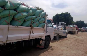 استلام 7400 طن قمح في البحيرة خلال موسم التوريد