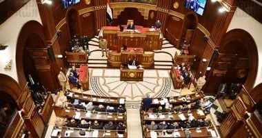 النائب محمد موسى: الملاعب ليست كازينوهات للقمار