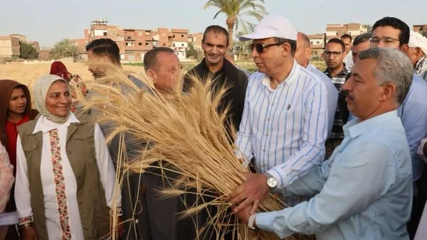 محافظ المنيا يشارك في حصاد القمح بقرية بني حكم