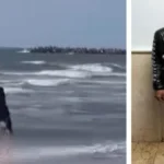 القبض على متهم بإلقاء كلب في البحر بدمياط