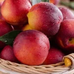 فوائد الخوخ للصحة