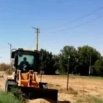 دعم الكهرباء والتشجير في الخارجة بالوادي الجديد