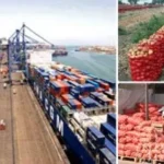 تصدير 4149 رسالة غذائية.. والسعودية في الصدارة