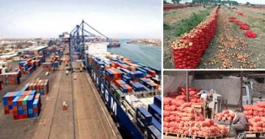 تصدير 4149 رسالة غذائية.. والسعودية في الصدارة