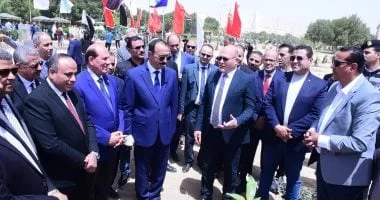 زراعة أشجار الزيتون في سوهاج احتفالًا بعيد التحرير