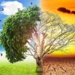 مصر تقود الحوار البيئي في إفريقيا بالدورة الـ33