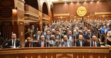 وزير الشباب: النجاح يحتاج للتخطيط والرياضة أمن قومي