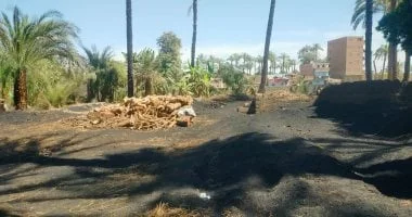 جهود إزالة مكامير الفحم المخالفة في أسيوط