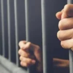 سجن 5 سنوات لمتهمين بإحداث عاهة مستديمة في سوهاج