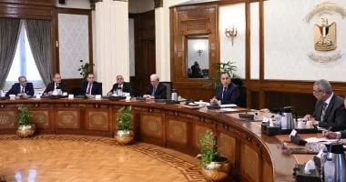 مدبولي يوجه بإنهاء إجراءات انقسام شركة المحلة